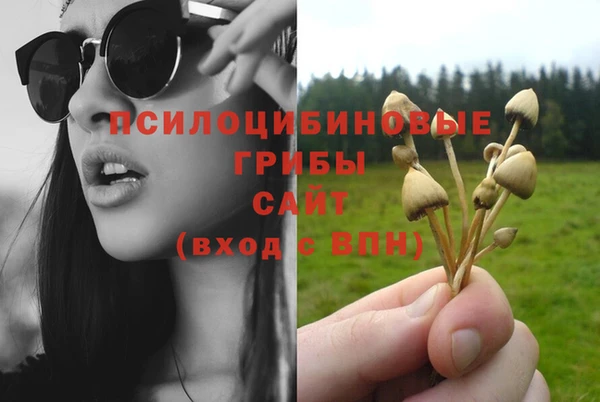 тгк Бородино