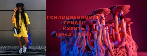 тгк Бородино