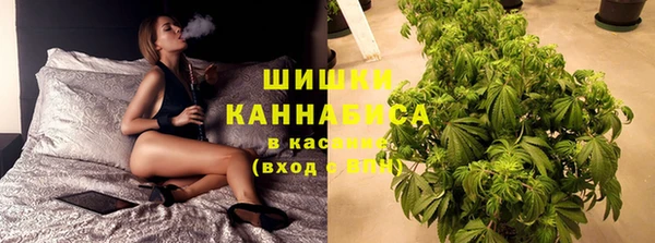 тгк Бородино