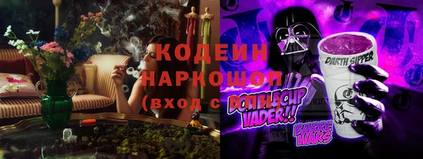 тгк Бородино