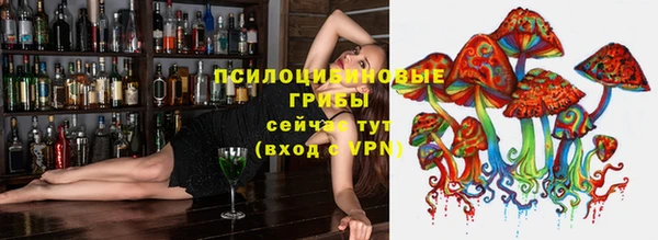 тгк Бородино