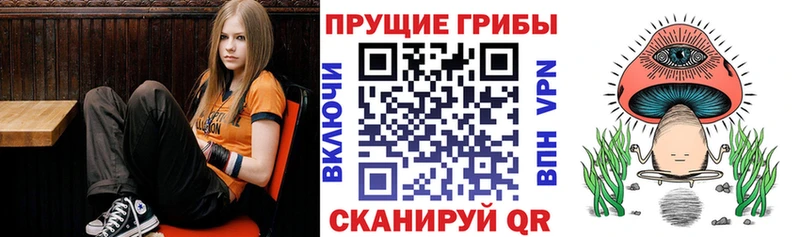 Псилоцибиновые грибы MAGIC MUSHROOMS  Купить  Самара 